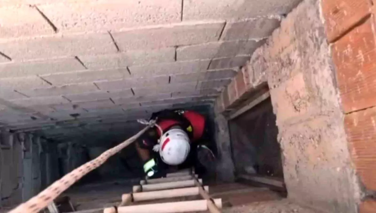 Şanlıurfa'da Yavru Kedi Havalandırma Boşluğundan Kurtarıldı