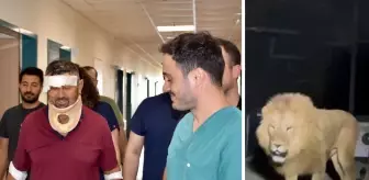 Aslan saldırısında yaralanan çiftçi Süleyman Kır: Aslana hakkımı helal ederim, bir suçu yok