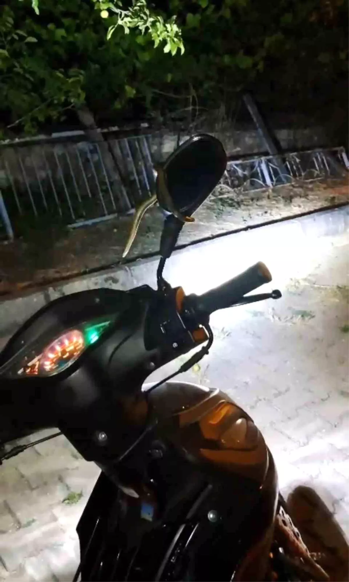 Kütahya'da Park Halindeki Motosiklette Yılan Paniği