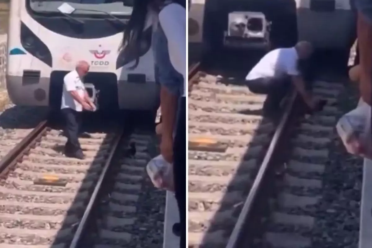 Raylara düşen kediyi kurtarmak için treni durdurdu, raylara indi