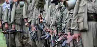 Silah bırakan PKK'lı gruptan açıklama: Silahlarımızı özgür irademizle imha ediyoruz