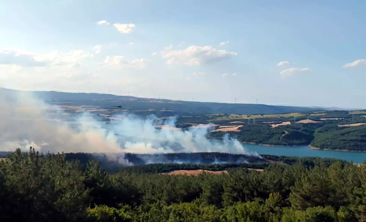 Şarköy'de Orman Yangınına Hava ve Kara Müdahalesi