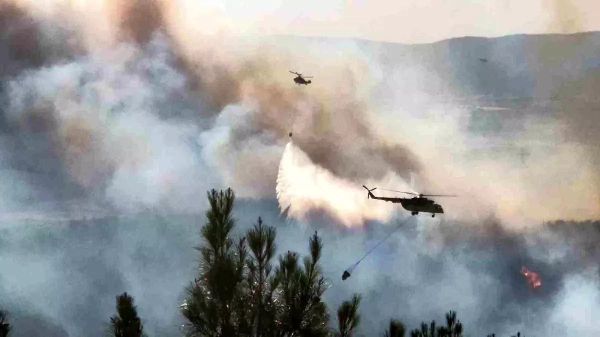 Tekirdağ'da Orman Yangınına Hava ve Kara Müdahale