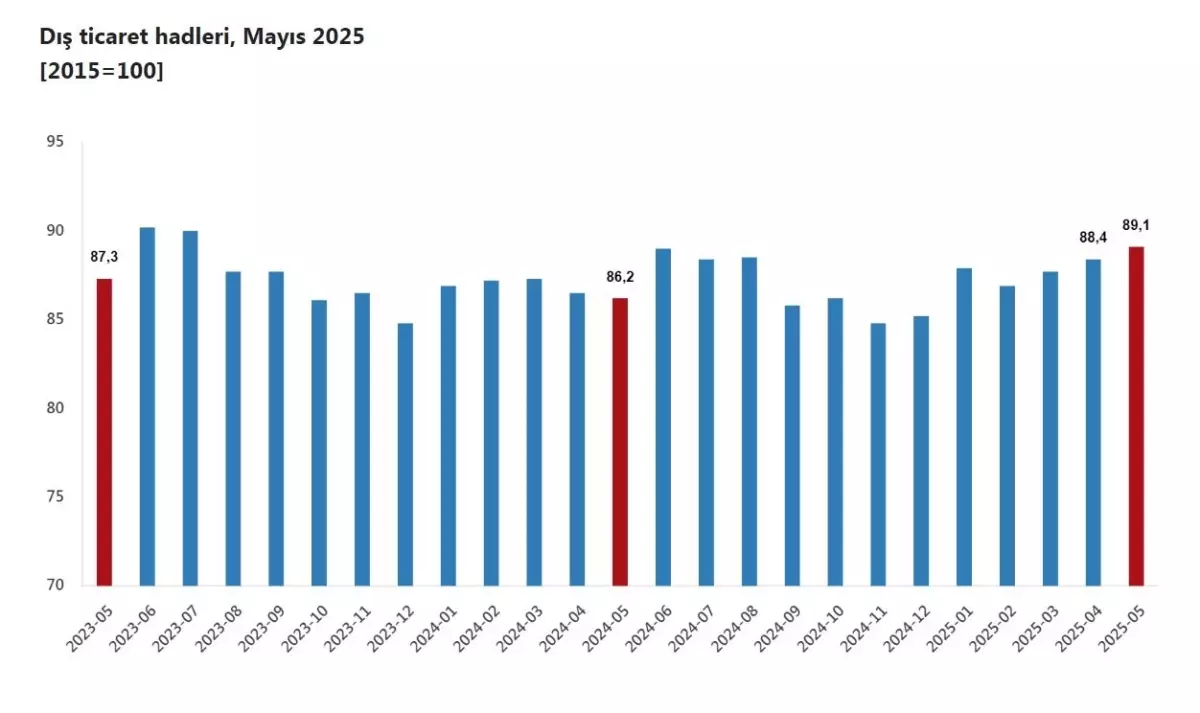 TÜİK Mayıs 2025 Dış Ticaret Haddi Açıklamalarını Yayımladı