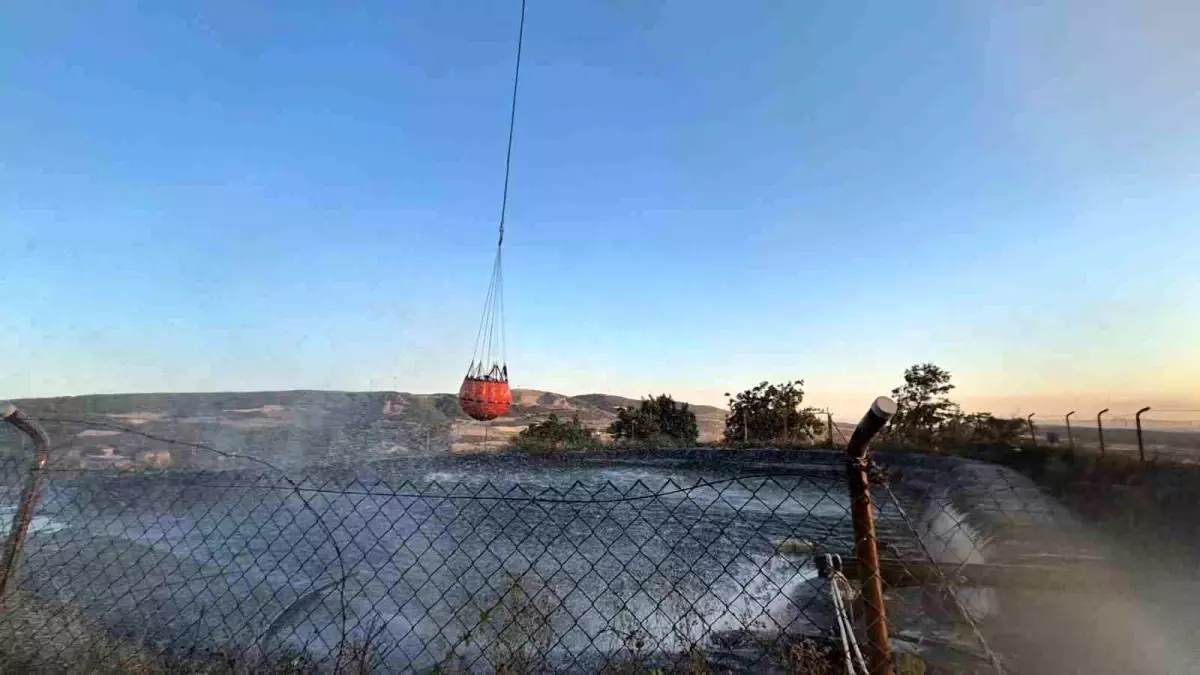 Tekirdağ'da Orman Yangınına Hızlı Müdahale