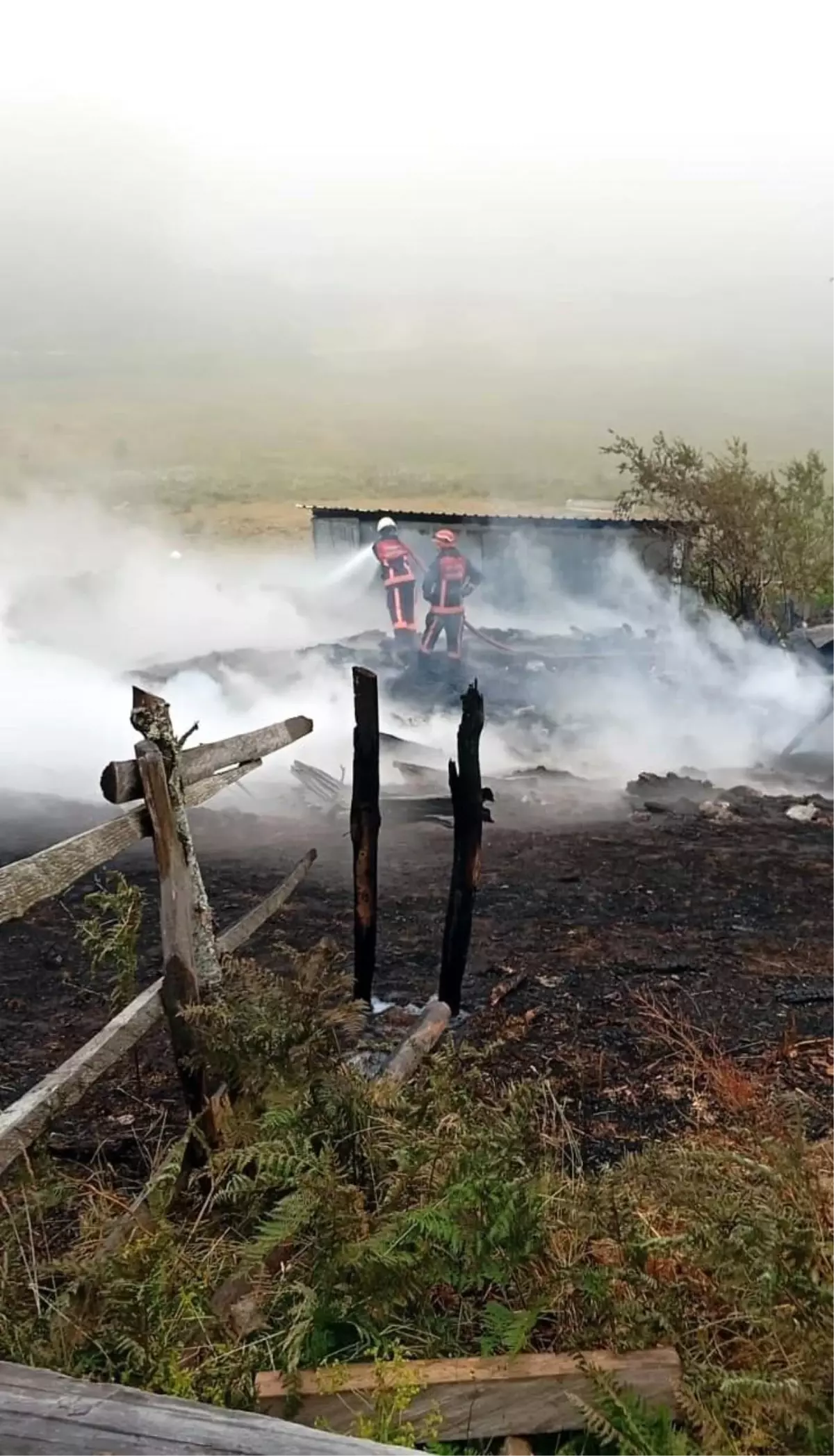 Sakarya'da Yaylada Yangın: 2 Ev ve 1 Ahır Kül Oldu