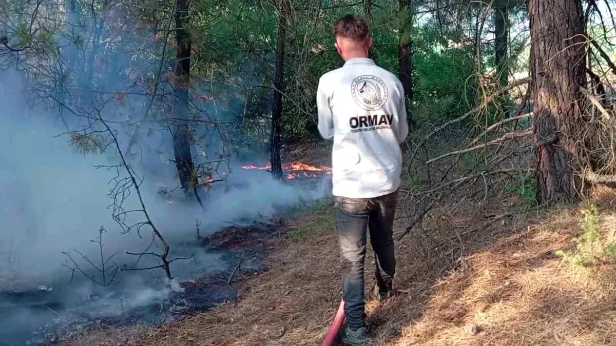 Amasya'da orman yangını! 10 dekarlık alan zarar gördü