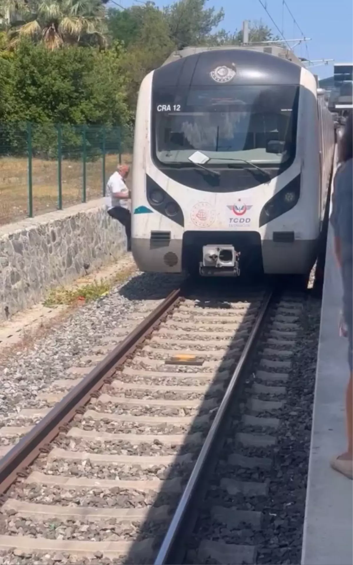 Makinist Yavru Kediyi Raylardan Kurtardı