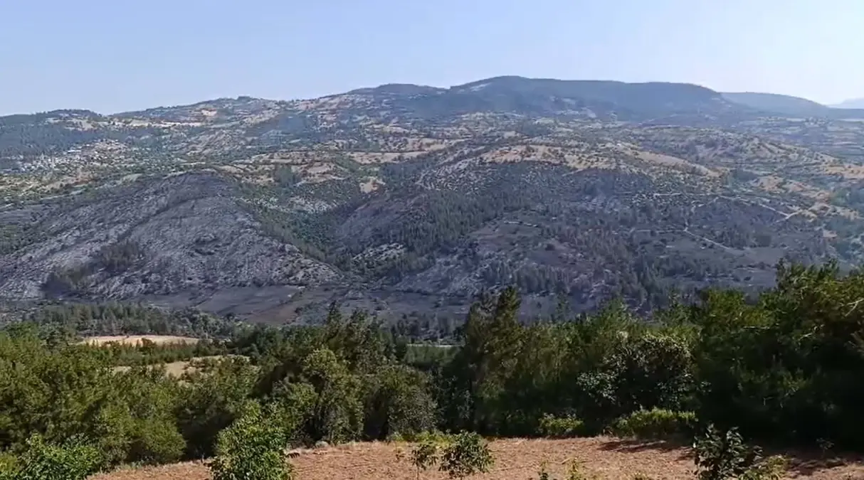 Balıkesir-Bursa Sınırında Yangınla Mücadele Devam Ediyor