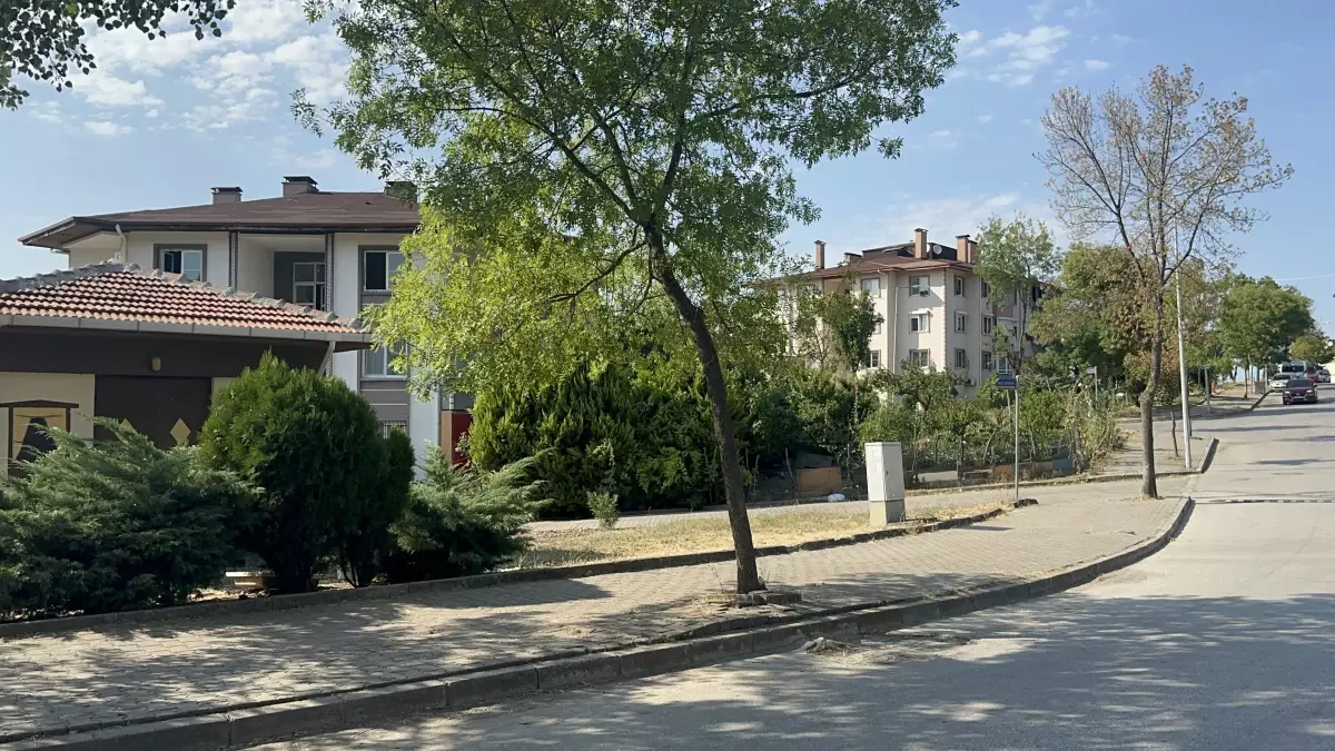 Ruhsatsız Hayvan Beslenmesi Yasağı Subaşı'nda Uygulanmaya Başladı