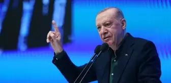 Cumhurbaşkanı Erdoğan'dan tarihi konuşma: 47 yıllık terör belası sona erme sürecine girdi