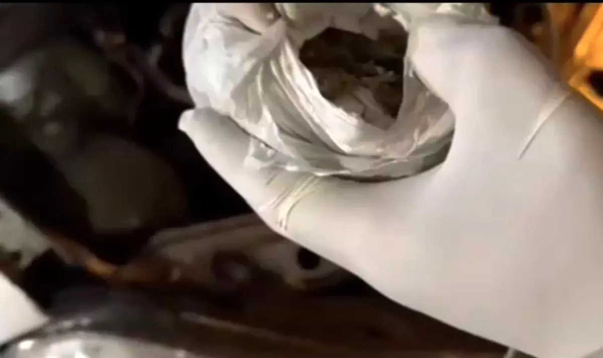 Elazığ'da Jandarmadan Uyuşturucu Operasyonu: 45.9 Gram Esrar Ele Geçirildi