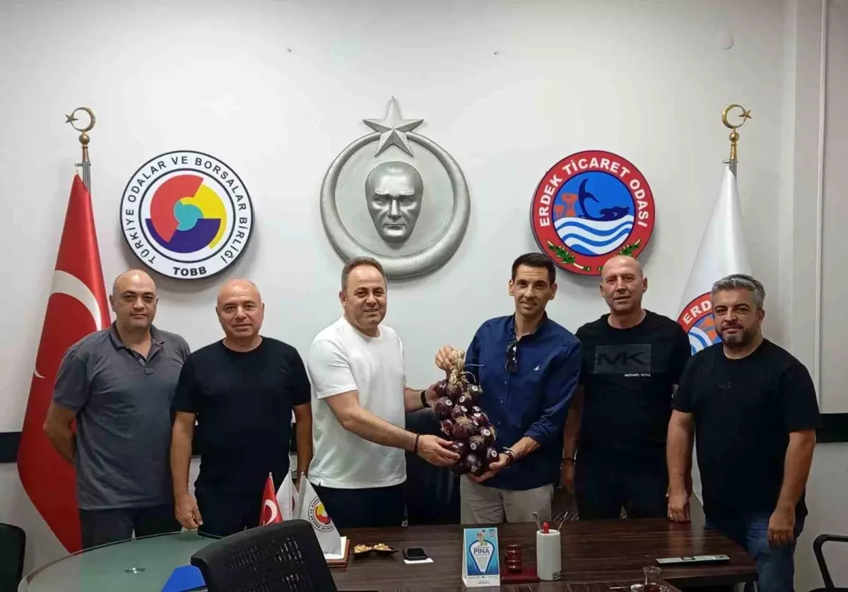 Kapıdağ Mor Soğanı'nda Doğrudan Satış Dönemi Başladı