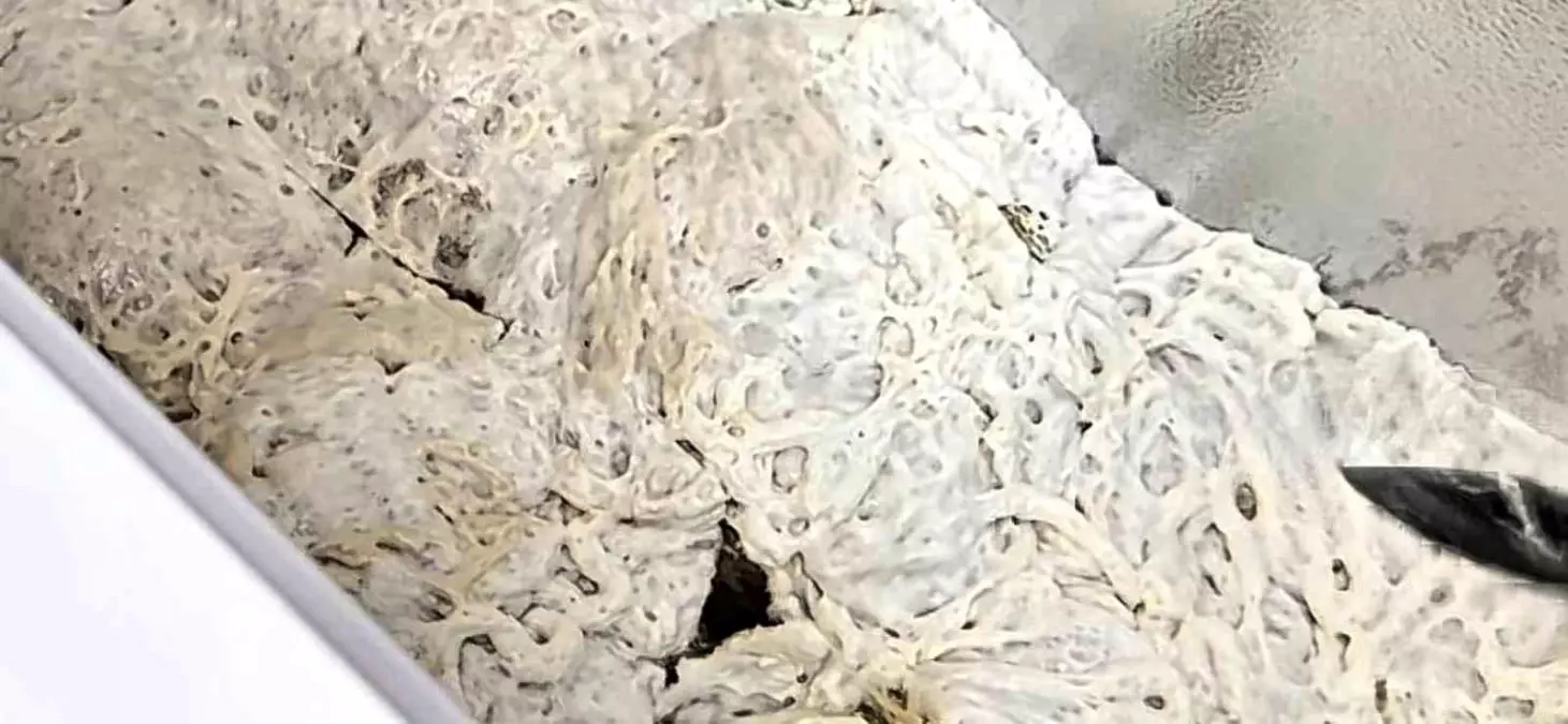 Batman'da Uyuşturucu Operasyonu: 15 Kilo Skunk Ele Geçirildi