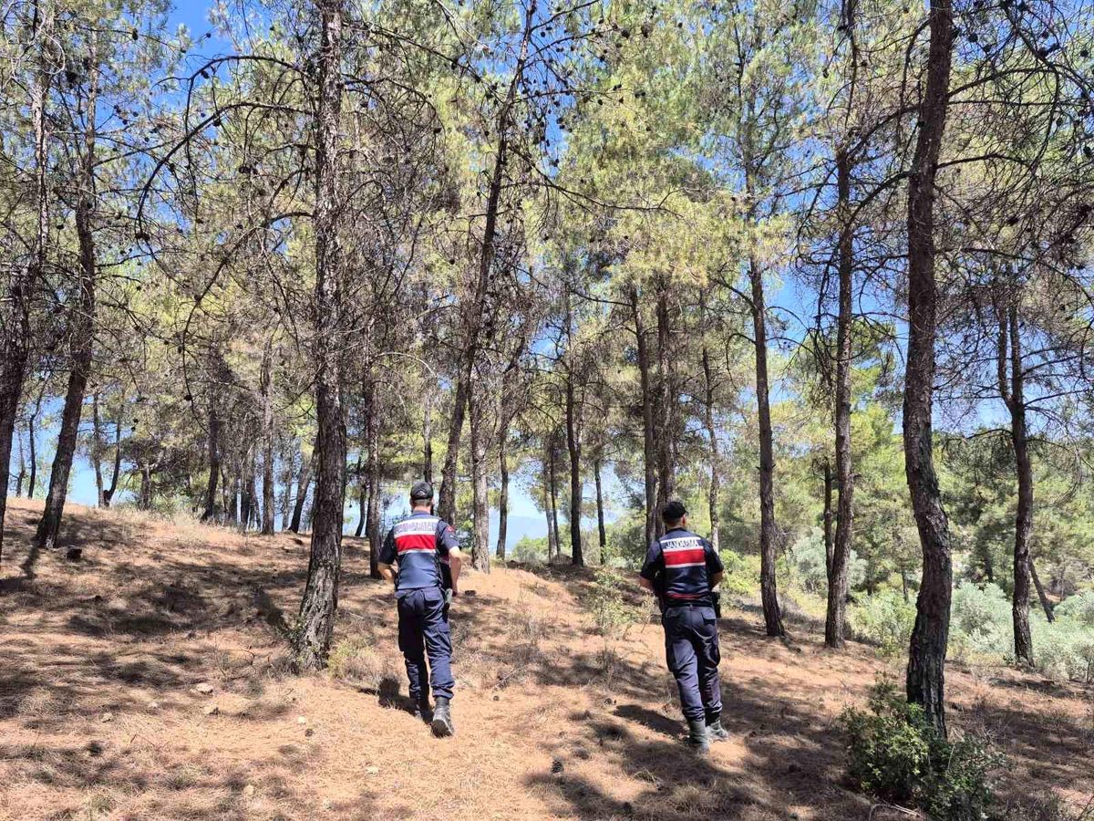 Aydın'da Orman Yangınları İçin Önlem: Girişler Yasaklandı