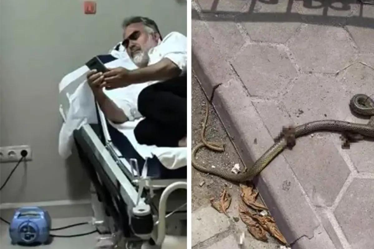 Mevsimlik işçiye yılan saldırdı, hastanelik oldu