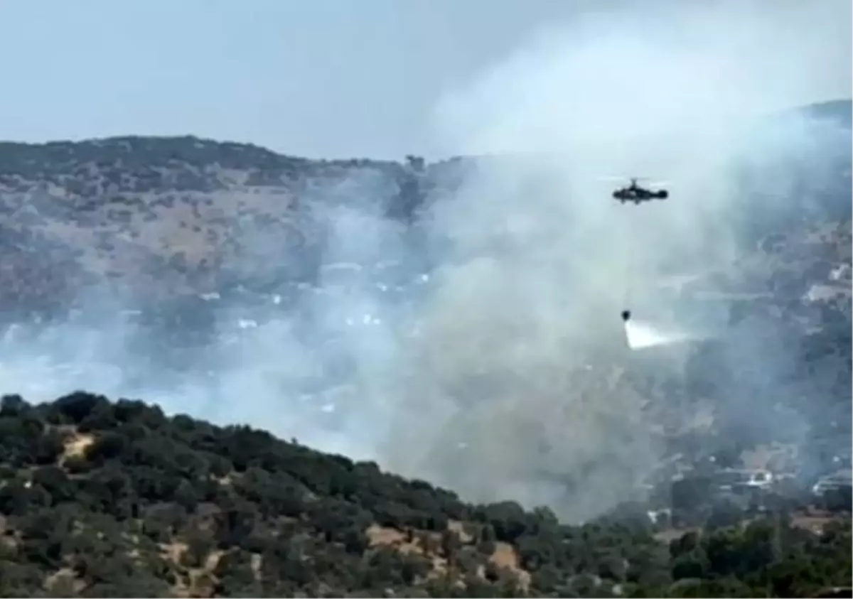 Muğla'da Ziraat Alanında Yangın Çıktı