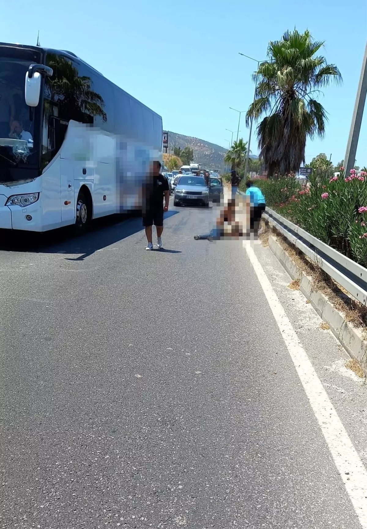 Muğla'da Otoyolda Yaya Öldü