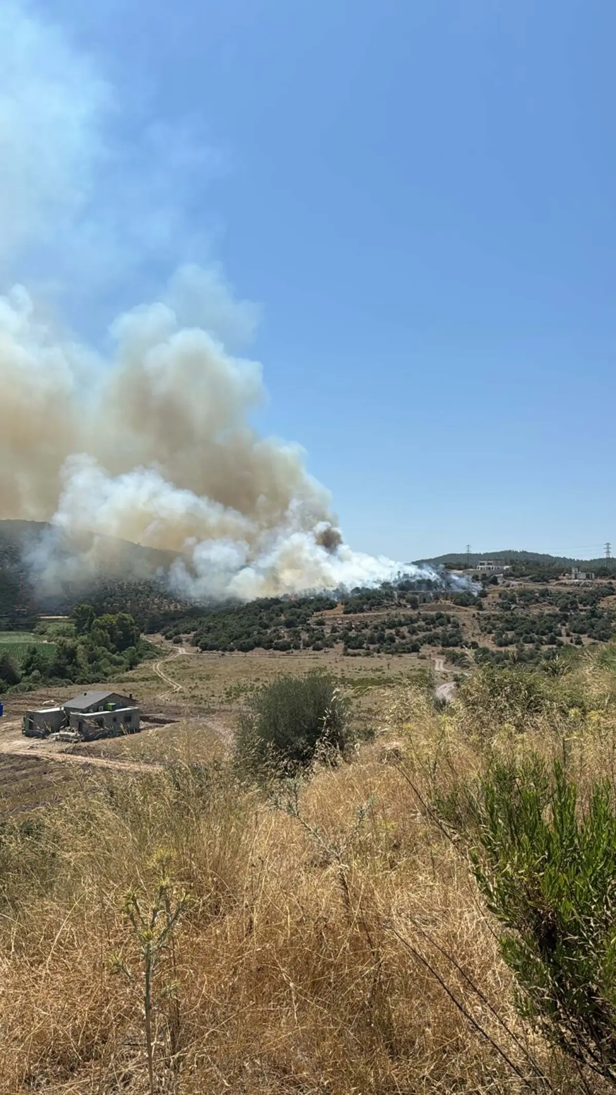 Muğla'da Tarım Arazisinde Yangın Çıktı