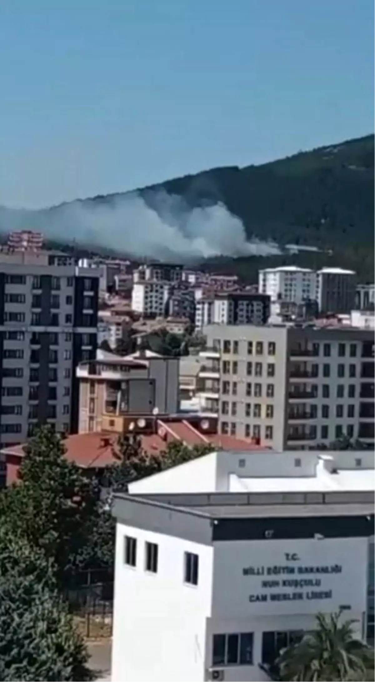 Pendik Aydos Ormanı'nda Yangın Kontrol Altına Alındı