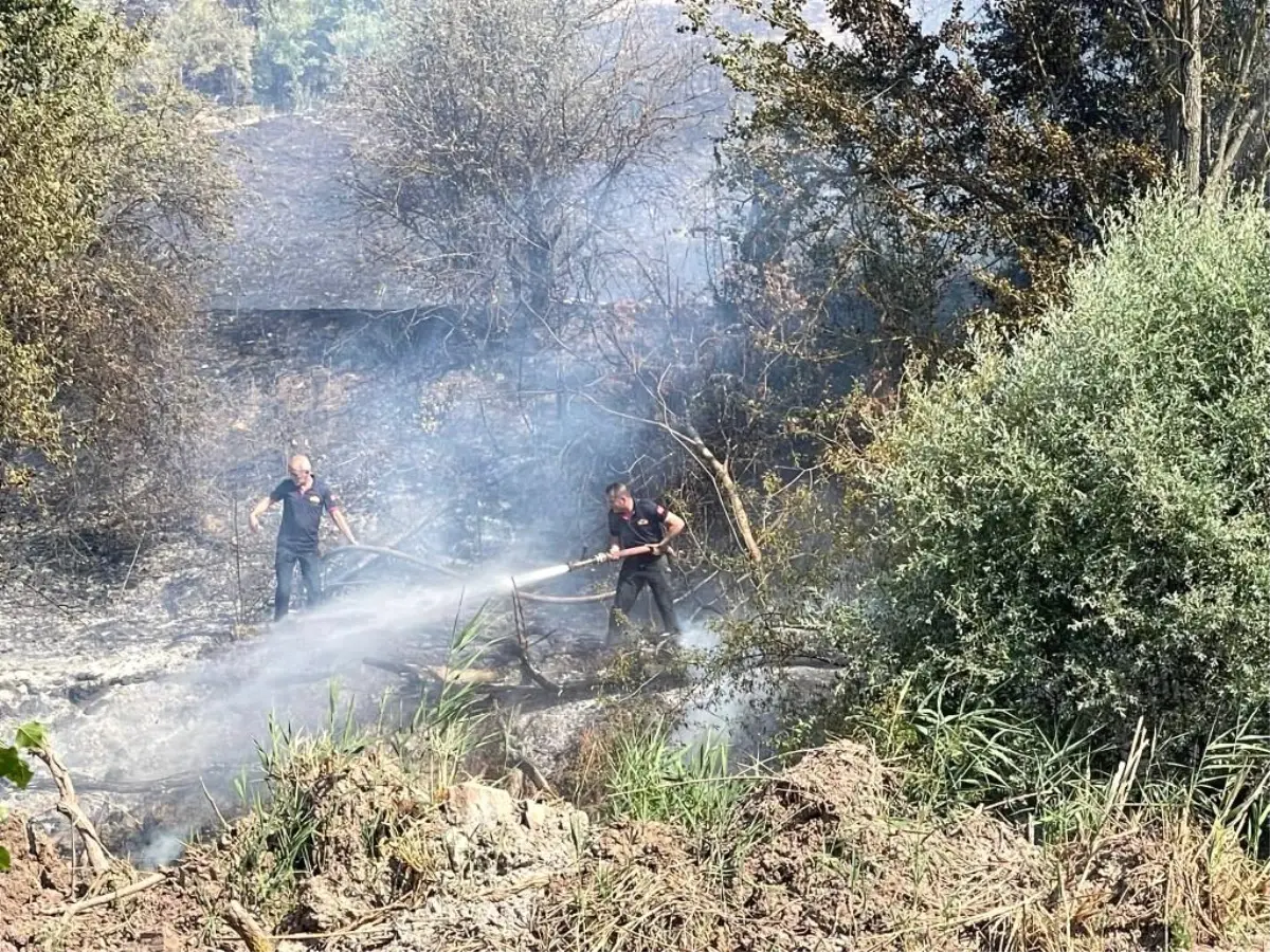 Gölpazarı'nda Orman Yangını Kontrol Altına Alındı