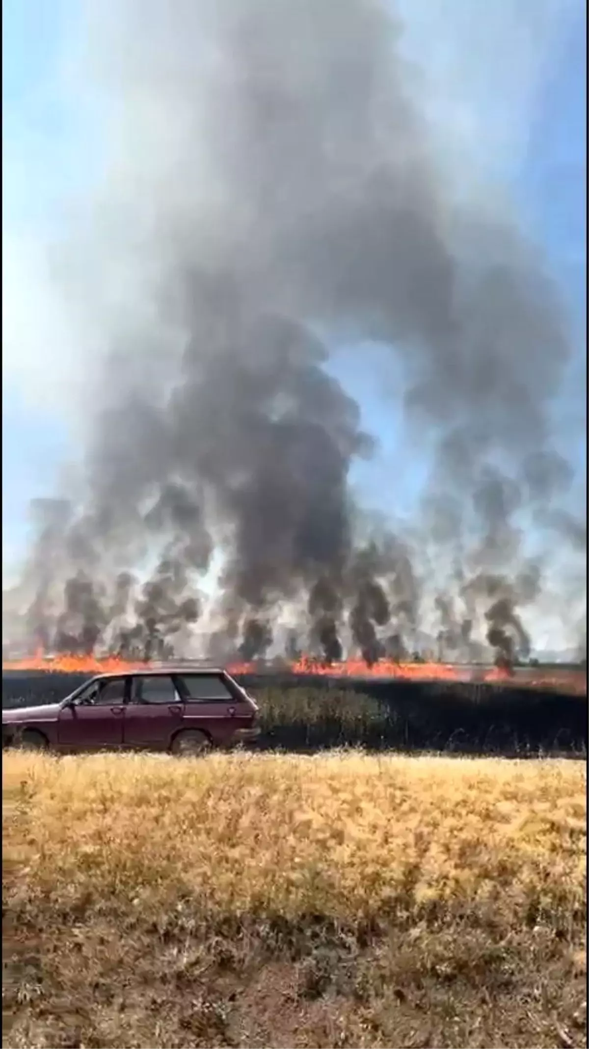 Burdur'da Traktör Yangını: 50 Dönüm Arazi Zarar Gördü