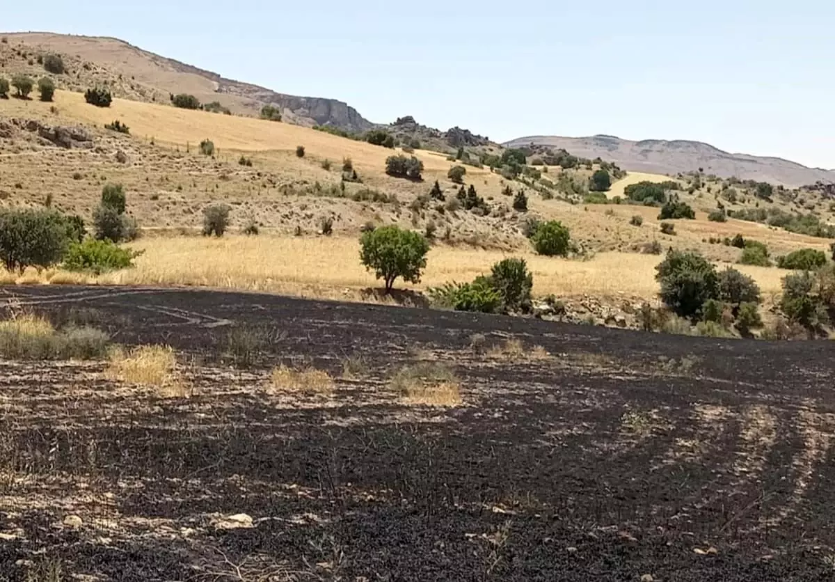 Tunceli'de Arazi Yangını: 34 Dönüm Arpa Tarlası Kül Oldu