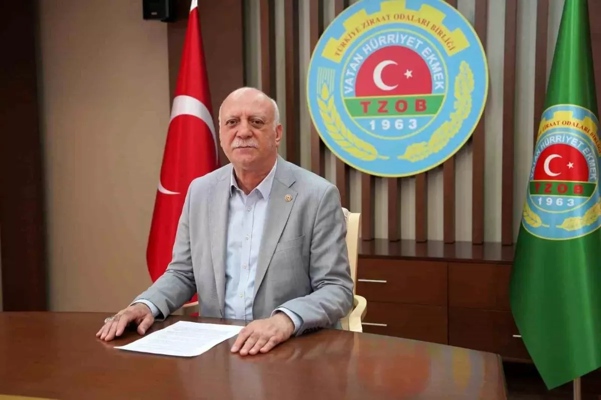 Kuraklık Tarımda Verim Düşüklüğüne Sebep Oluyor