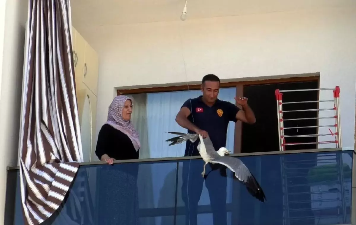 Erciş'te İpe Dolanan Martı İtfaiye Ekipleri Tarafından Kurtarıldı