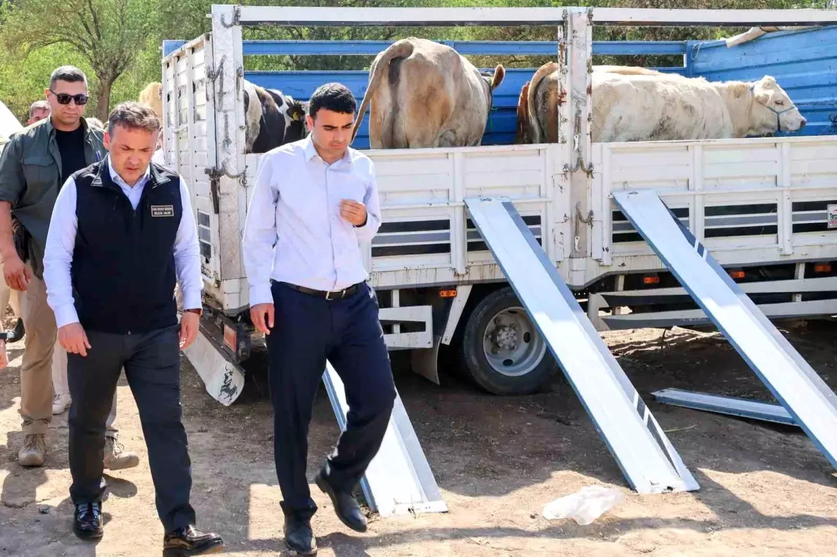 Bilecik'te Yangın Sonrası Devlet Destekleri Devam Ediyor