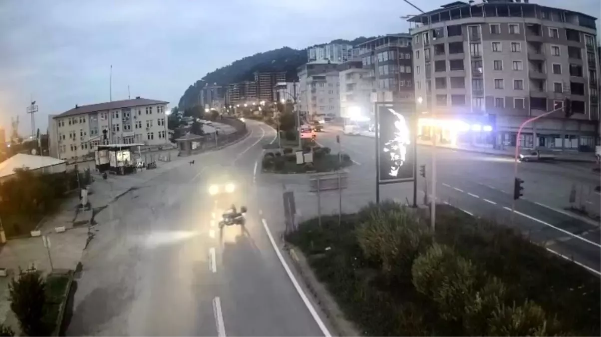 Artvin'de Trafik Kazası: İki Genç Hayatını Kaybetti