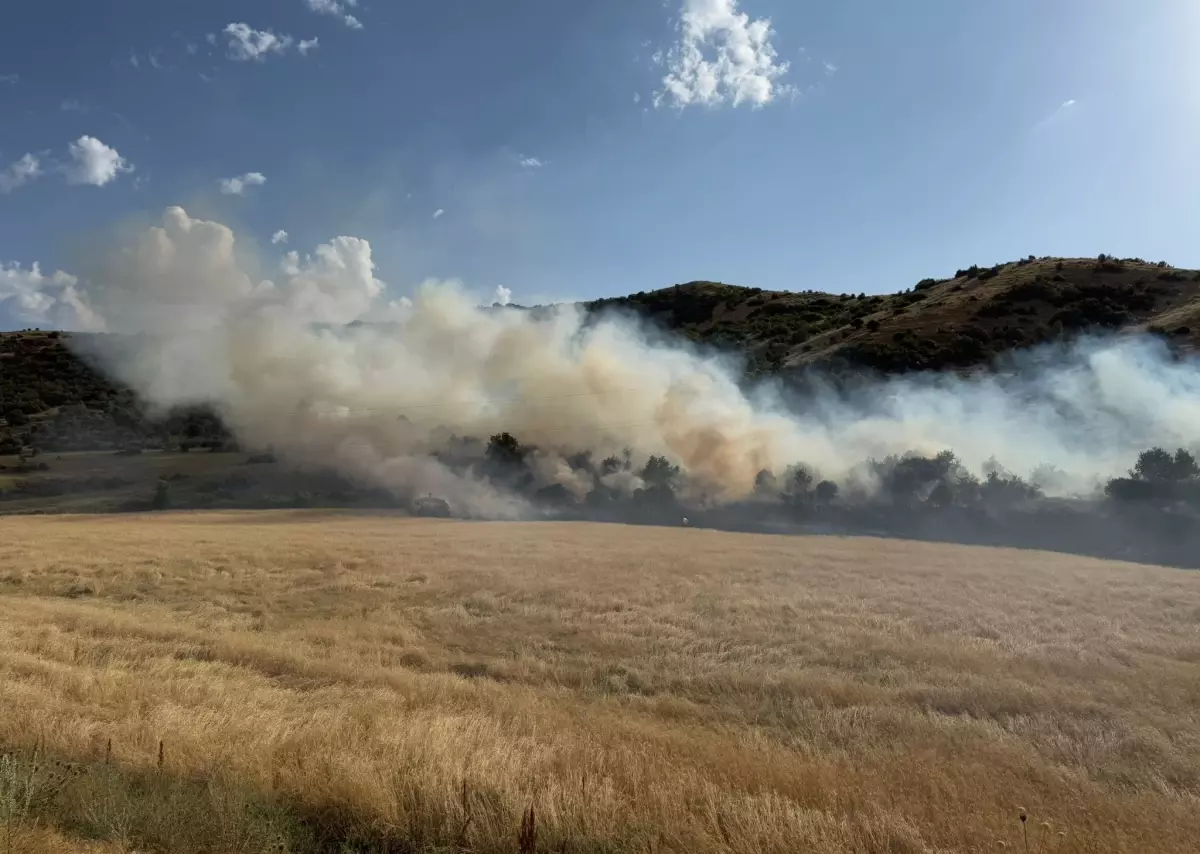 Bitlis'te Buğday Tarlasında Yangın Kontrol Altına Alındı