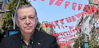 Cumhurbaşkanı Erdoğan'ın sözleri sonrası yurdun dört bir yanı Türk bayraklarıyla donatıldı