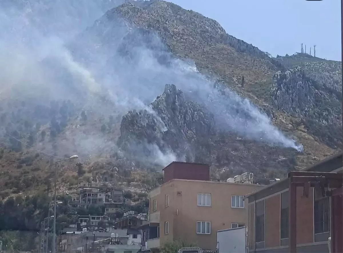 Hatay'da Orman Yangını