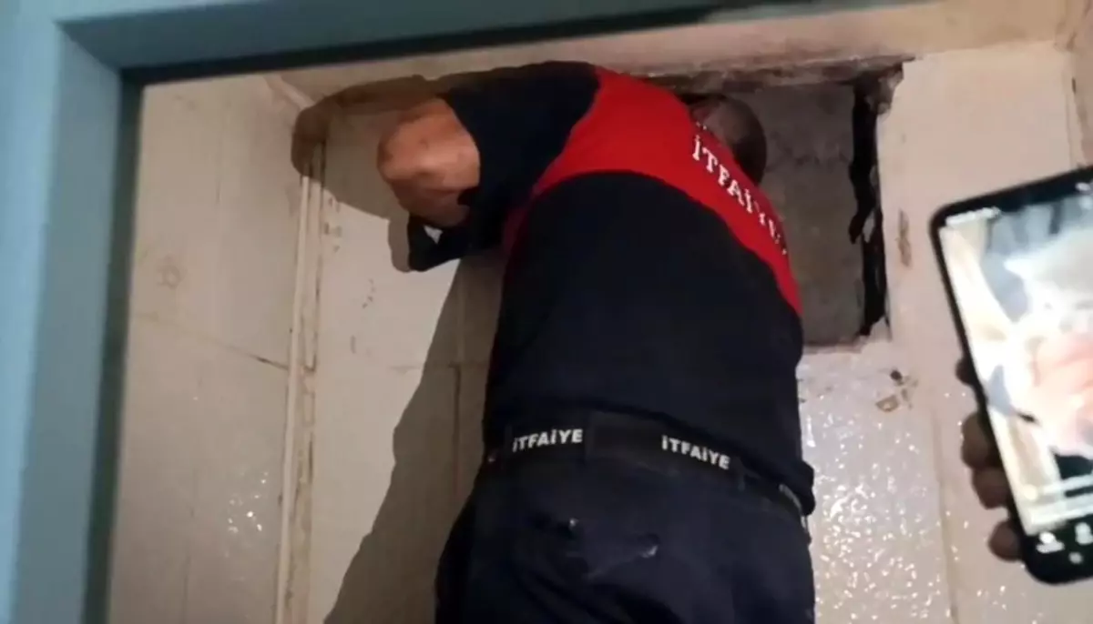 Havalandırma Boşluğunda Mahsur Kalan Yavru Kedi Kurtarıldı
