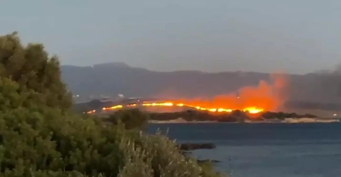 İzmir Aliağa'da Otluk Yangını