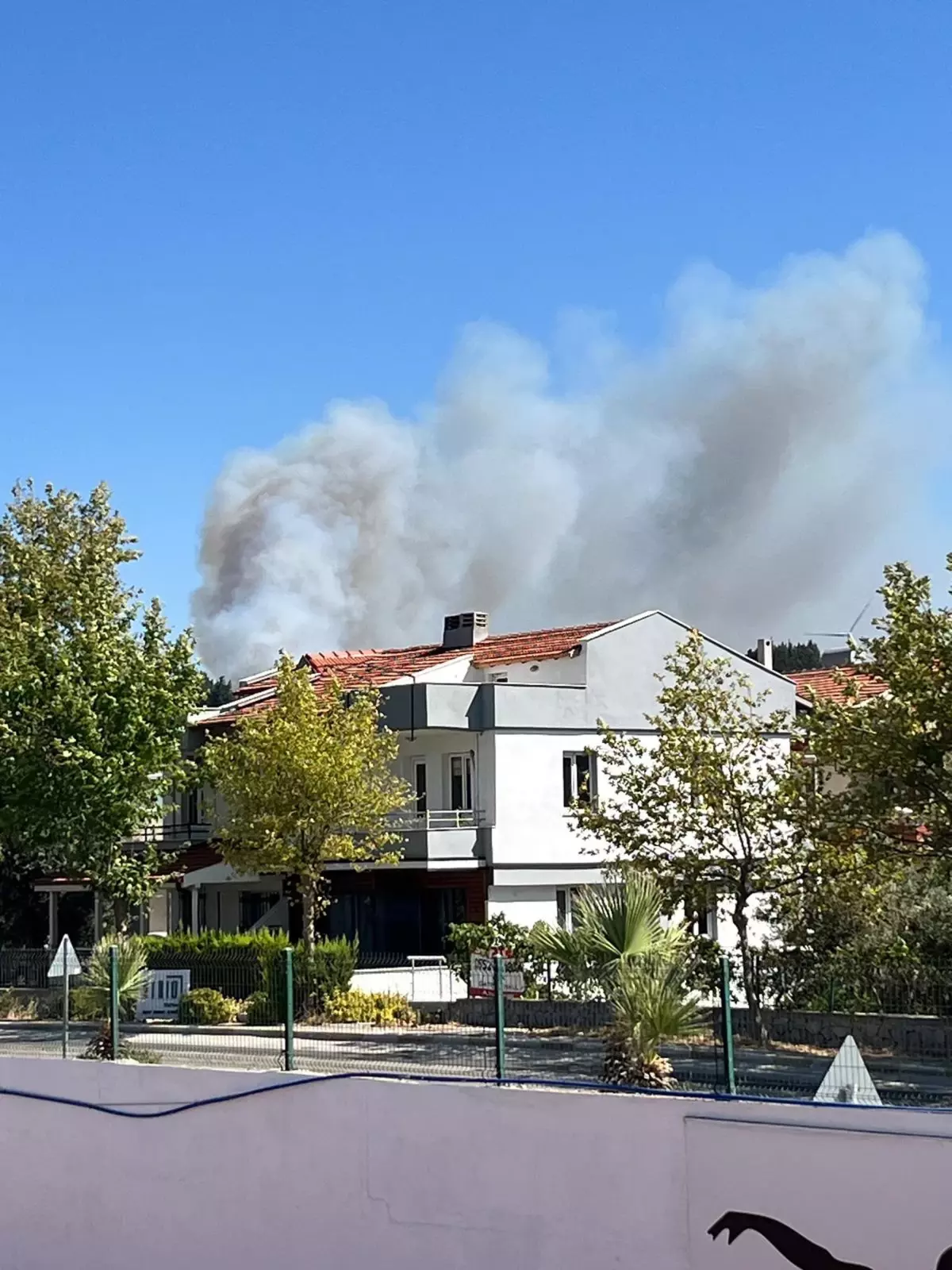 İzmir Urla'da Orman Yangını