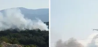İzmir'de yine yangın çıktı! Urla'dan alevler yükseldi
