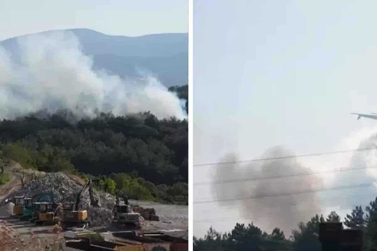 İzmir'de yine yangın çıktı! Urla'dan alevler yükseldi
