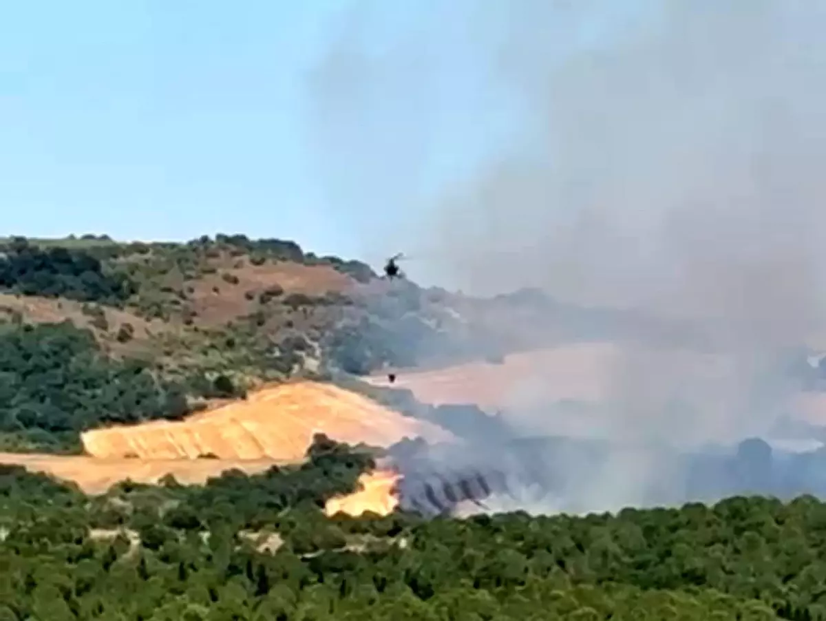 Balıkesir'de Orman Yangınına Hava Müdahalesi