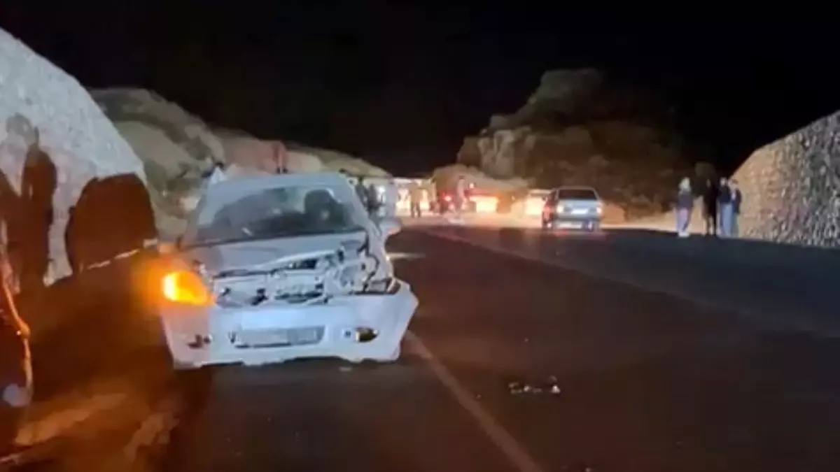 Mersin'de Otomobil Domuza Çarptı, Yaralı Yok