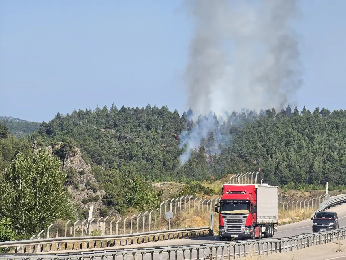 Tokat'ta Orman Yangını: Ekipler Müdahale Ediyor