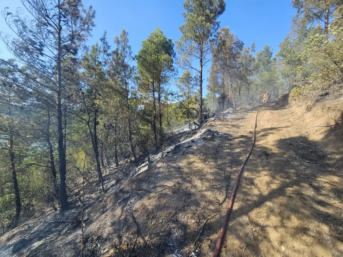 Tokat'taki Orman Yangını Kontrol Altına Alındı