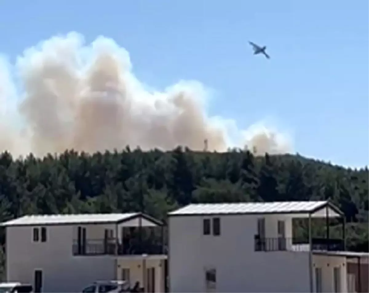 İzmir'in Urla İlçesinde Yangın Çıktı