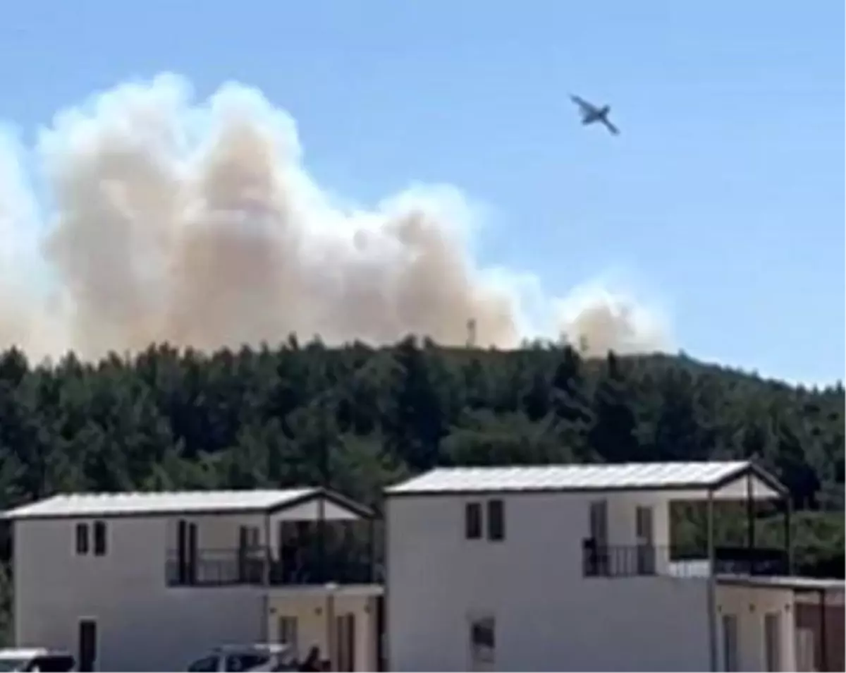 Urla'da Makilik Alanda Yangın Kontrol Altına Alındı