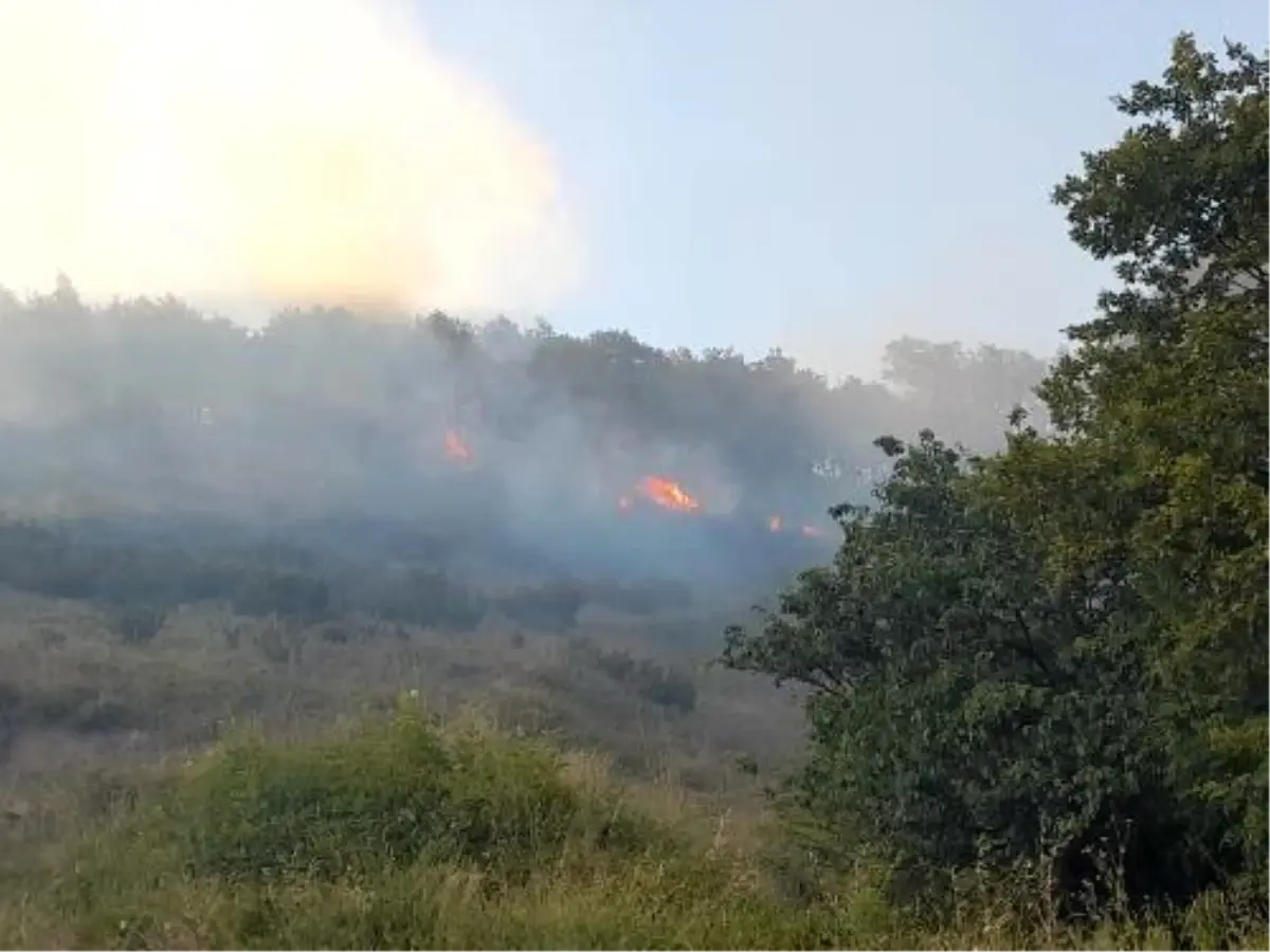 Yalova'da Orman Yangını Kontrol Altına Alındı