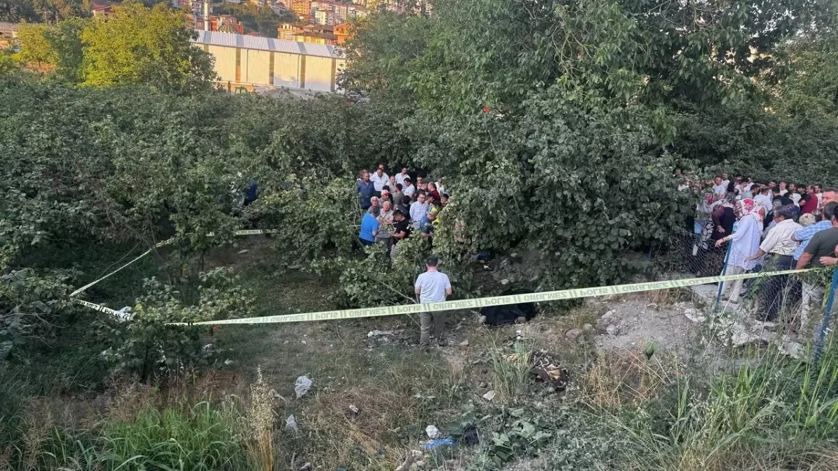 Zonguldak'ta Kontrolden Çıkan Kamyonet Fındık Bahçesine Uçtu: Sürücü Hayatını Kaybetti