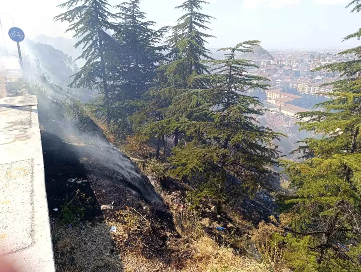 Afyonkarahisar'da Orman Yangını Kontrol Altına Alındı