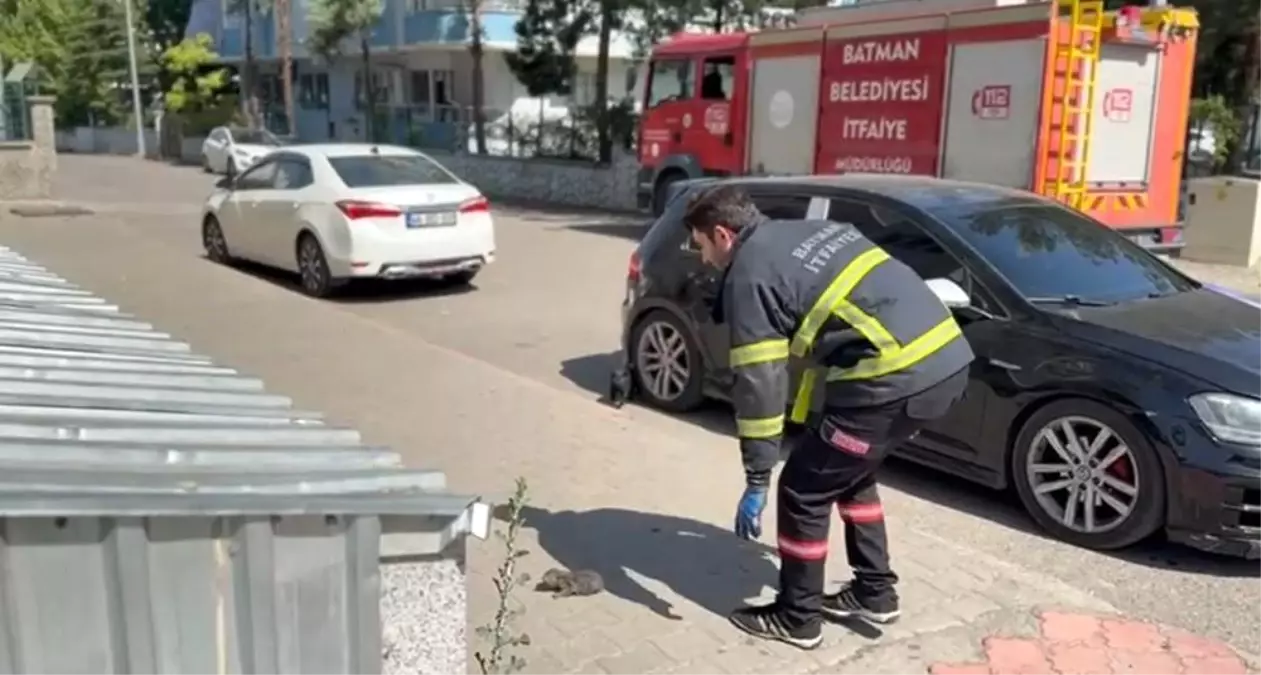 Batman'da Sıkışan Kedi İtfaiye Ekipleri Tarafından Kurtarıldı
