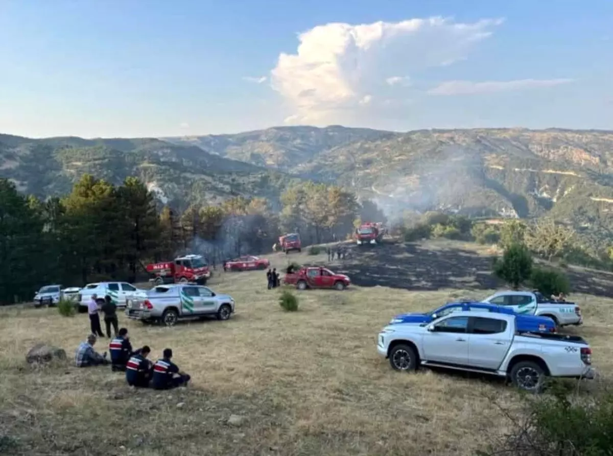 Beypazarı'nda 15 Dönüm Tarım Arazisinde Yangın Çıktı